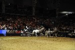 Extreme - 00935